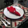 jogo americano imeprmeável vermelho rústico